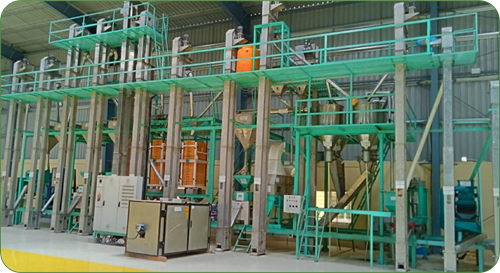 Ragi processing line: decortication machines on a two-level steel platform