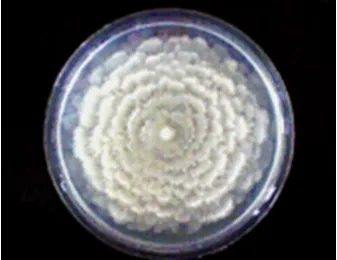 Metabolites